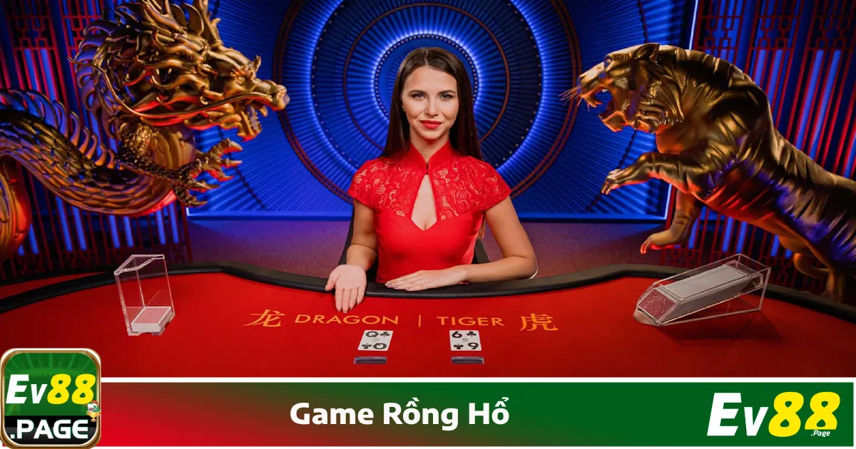 Các loại cược & tỷ lệ trả thưởng khi chơi Rồng Hổ