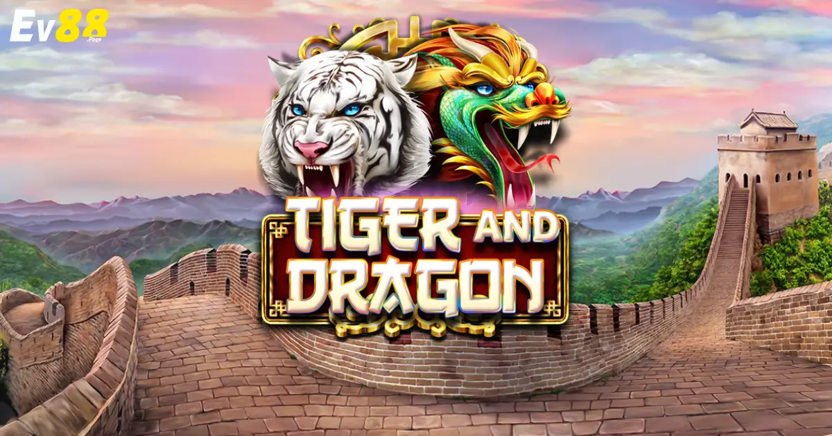 Chiến Thuật Đánh Rồng Hổ Giúp Bạn Kiếm Tiền Hiệu Quả