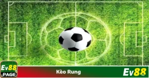 Mẹo chơi kèo rung để tối đa hóa lợi nhuận