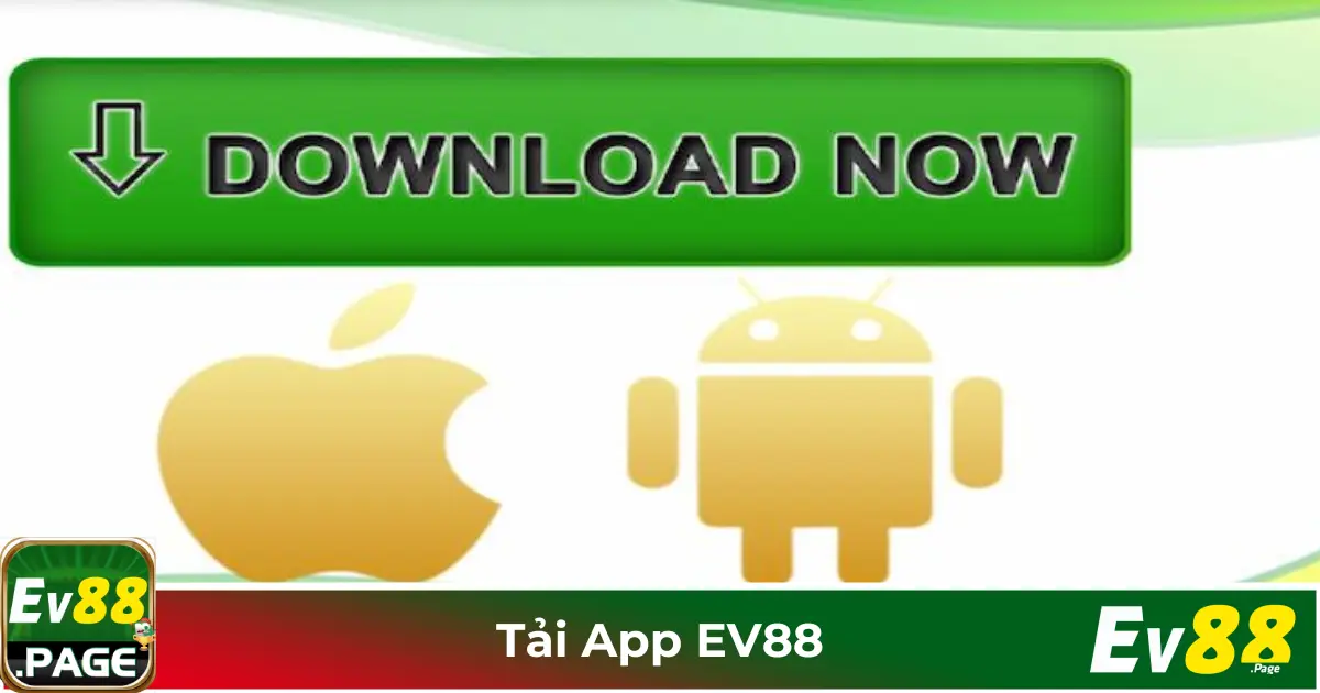 Tải App EV88 – Trải Nghiệm Cược Mượt Mà Trên Mọi Thiết Bị 3 Giao diện tối ưu hóa, dễ sử dụng trên điện thoại & máy tính bảng